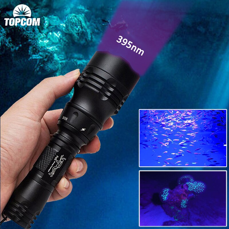 TopCom UV 395NM ڿܼ   Purple    100 m UV..